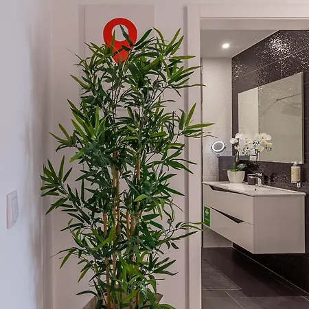 Apartamento Led - Vista Alegre Ponte de Lima